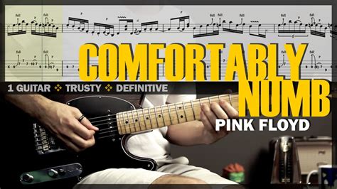 Comfortably Numb Embraces Soaring Guitar Solos and Haunting Vocal Melodies